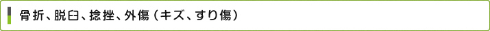 骨折、脱臼、捻挫、外傷（キズ、すり傷）